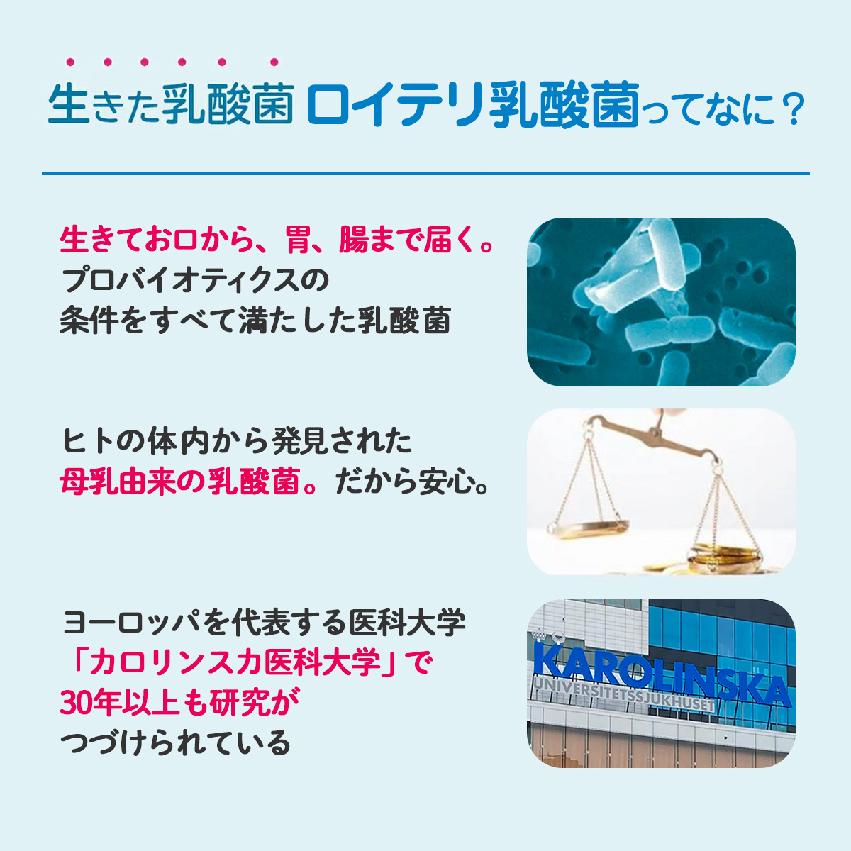 【おまとめ定期便】ロイテリ 乳酸菌サプリメント＋VitaminD3 30粒入 2箱セット