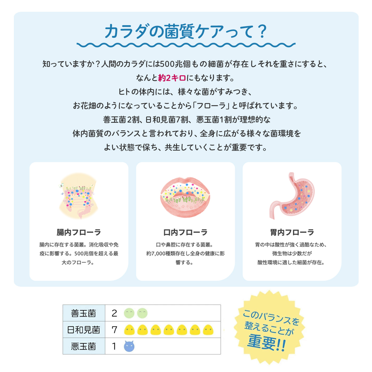 【定期便】ロイテリ 乳酸菌サプリメント＋VitaminD3(ビタミンD3) 30粒入